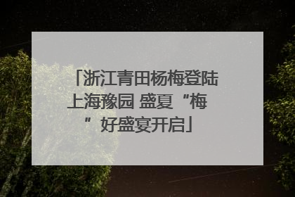 浙江青田杨梅登陆上海豫园 盛夏“梅”好盛宴开启