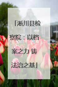 淅川县检察院：以档案之力 铸法治之基