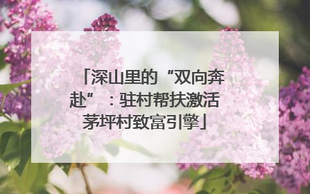 深山里的“双向奔赴”：驻村帮扶激活茅坪村致富引擎