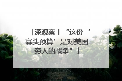 深观察丨“这份‘寡头预算’是对美国穷人的战争”