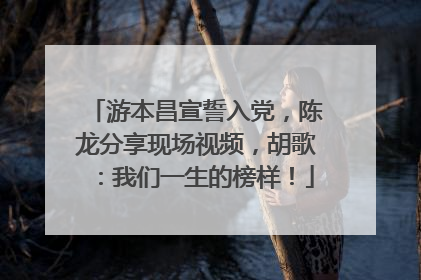 游本昌宣誓入党，陈龙分享现场视频，胡歌：我们一生的榜样！