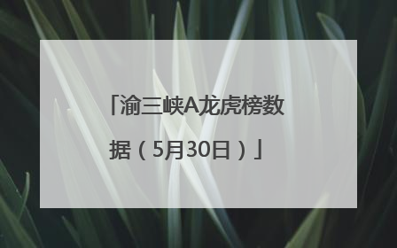 渝三峡A龙虎榜数据（5月30日）