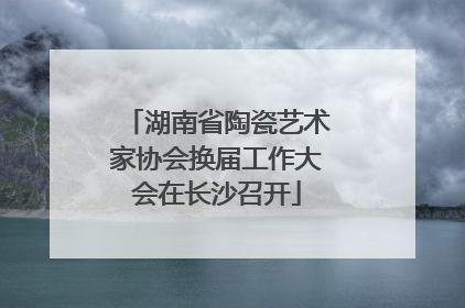 湖南省陶瓷艺术家协会换届工作大会在长沙召开