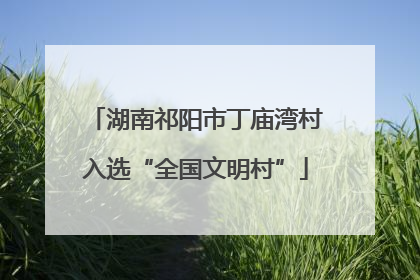 湖南祁阳市丁庙湾村入选“全国文明村”
