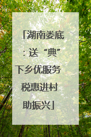湖南娄底：送“典”下乡优服务 税惠进村助振兴