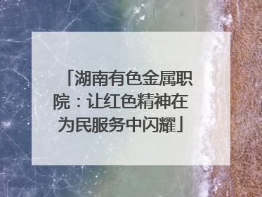 湖南有色金属职院：让红色精神在为民服务中闪耀