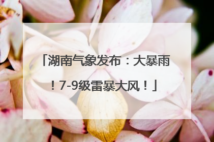 湖南气象发布：大暴雨！7-9级雷暴大风！
