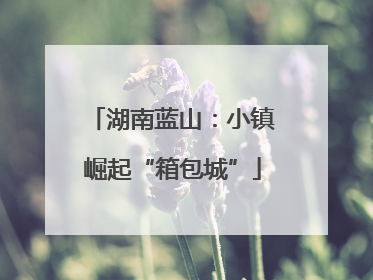 湖南蓝山：小镇崛起“箱包城”