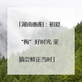 湖南衡阳：初夏“梅”好时光 采摘尝鲜正当时