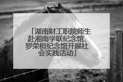 湖南财工职院师生赴湘南学联纪念馆、罗荣桓纪念馆开展社会实践活动