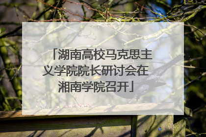 湖南高校马克思主义学院院长研讨会在湘南学院召开