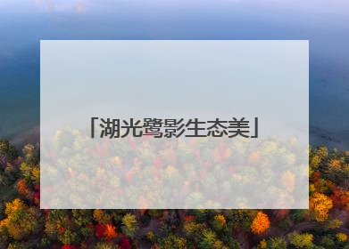 湖光鹭影生态美
