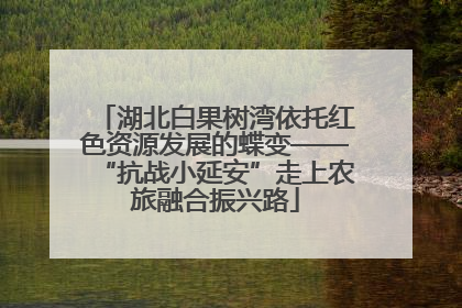 湖北白果树湾依托红色资源发展的蝶变——“抗战小延安”走上农旅融合振兴路