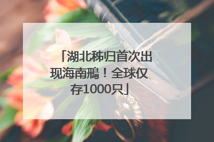 湖北秭归首次出现海南鳽！全球仅存1000只