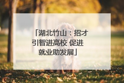 湖北竹山：招才引智进高校 促进就业助发展
