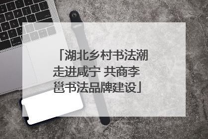 湖北乡村书法潮走进咸宁 共商李邕书法品牌建设