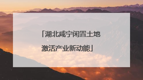 湖北咸宁闲置土地激活产业新动能