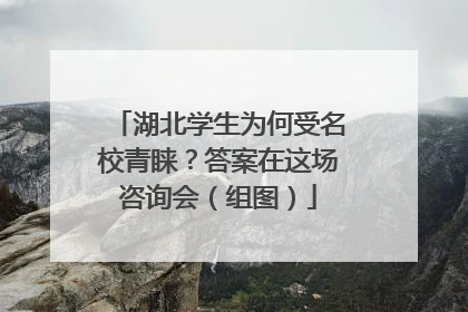湖北学生为何受名校青睐？答案在这场咨询会（组图）