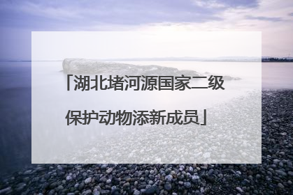 湖北堵河源国家二级保护动物添新成员