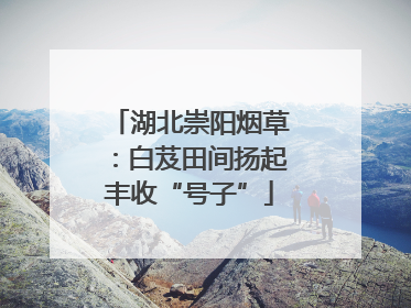湖北崇阳烟草：白芨田间扬起丰收“号子”