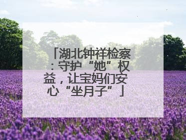 湖北钟祥检察：守护“她”权益，让宝妈们安心“坐月子”