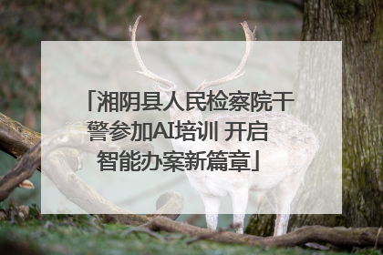 湘阴县人民检察院干警参加AI培训 开启智能办案新篇章