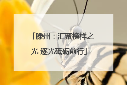 滕州：汇聚榜样之光 逐光砥砺前行