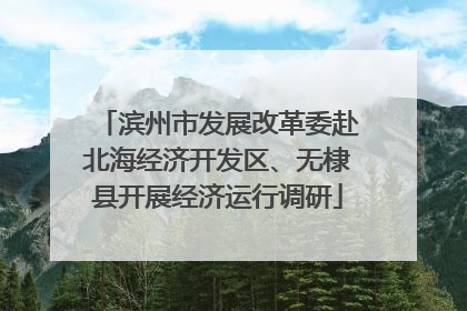 滨州市发展改革委赴北海经济开发区、无棣县开展经济运行调研