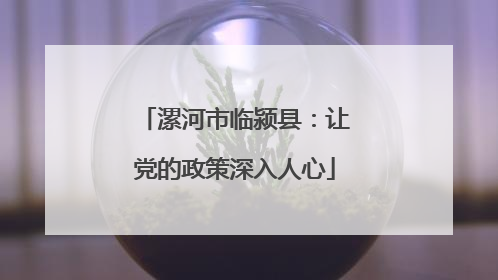 漯河市临颍县：让党的政策深入人心
