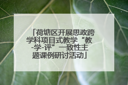 荷塘区开展思政跨学科项目式教学“教-学-评”一致性主题课例研讨活动
