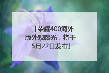 荣耀400海外版外观曝光，将于5月22日发布