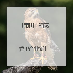 莆田：稻花香里产业新