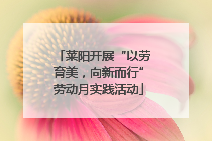 莱阳开展“以劳育美，向新而行”劳动月实践活动