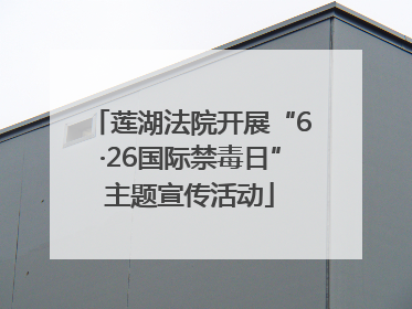 莲湖法院开展“6·26国际禁毒日”主题宣传活动