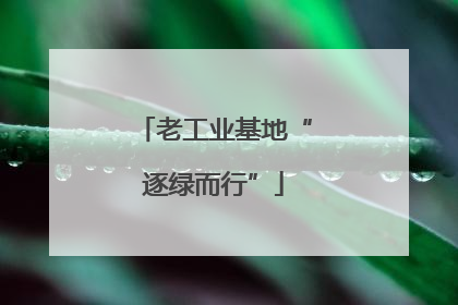 老工业基地“逐绿而行”