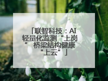 联智科技：AI轻量化监测“上岗” 桥梁结构健康“上云”