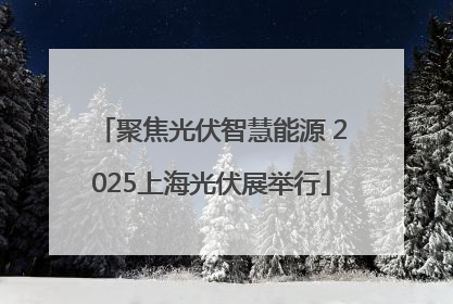 聚焦光伏智慧能源 2025上海光伏展举行