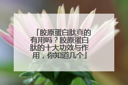 胶原蛋白肽真的有用吗？胶原蛋白肽的十大功效与作用，你知道几个