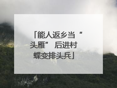 能人返乡当“头雁” 后进村蝶变排头兵