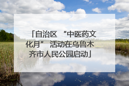 自治区 “中医药文化月” 活动在乌鲁木齐市人民公园启动