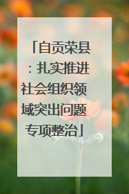 自贡荣县：扎实推进社会组织领域突出问题专项整治