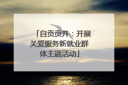 自贡贡井：开展关爱服务新就业群体主题活动