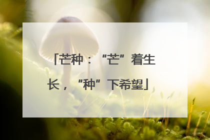 芒种：“芒”着生长，“种”下希望