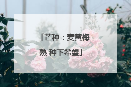 芒种：麦黄梅熟 种下希望
