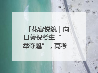 花容悦貌｜向日葵祝考生“一举夺魁”，高考带动鲜花热潮