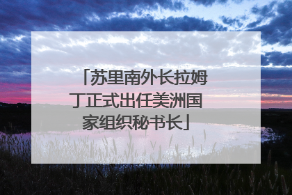 苏里南外长拉姆丁正式出任美洲国家组织秘书长
