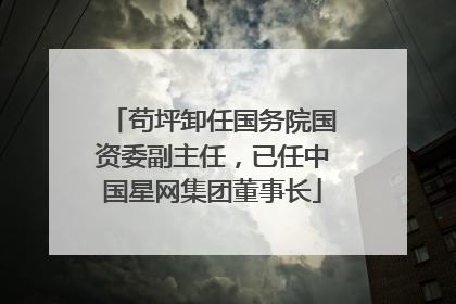 苟坪卸任国务院国资委副主任，已任中国星网集团董事长