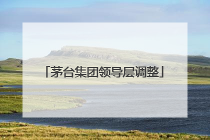茅台集团领导层调整