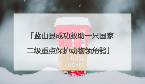 蓝山县成功救助一只国家二级重点保护动物领角鸮