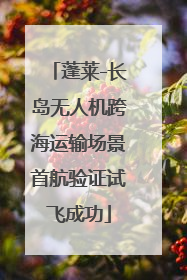 蓬莱-长岛无人机跨海运输场景首航验证试飞成功